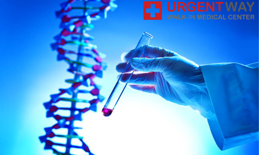 What does DNA testing tell you?