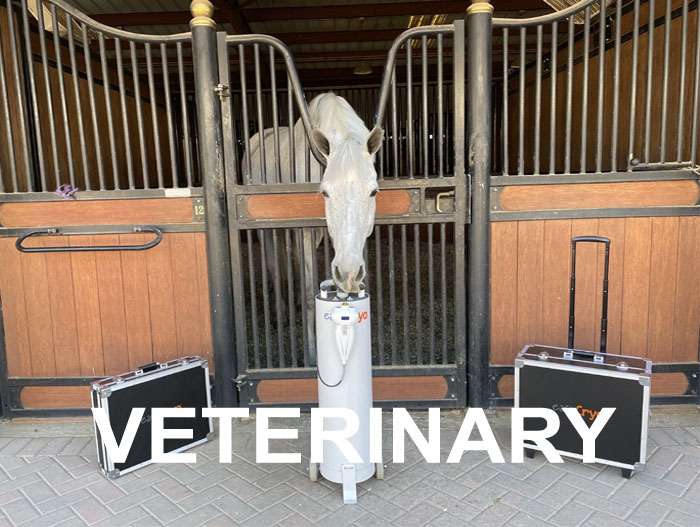 AmericaCryo: Next Level Equine Therapy