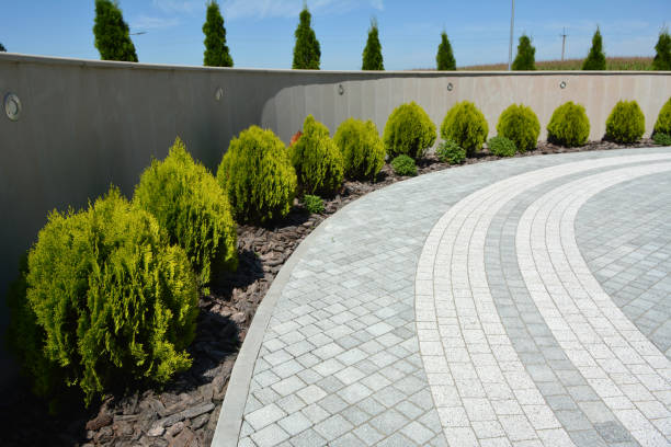Asphalt Landscaping in Ottawa: Transforming Outdoor Spaces
