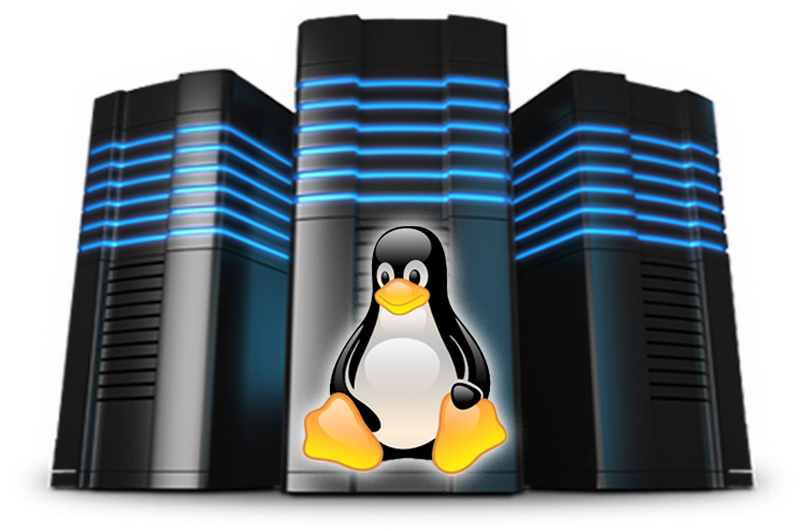 What is Linux VPS Hosting?