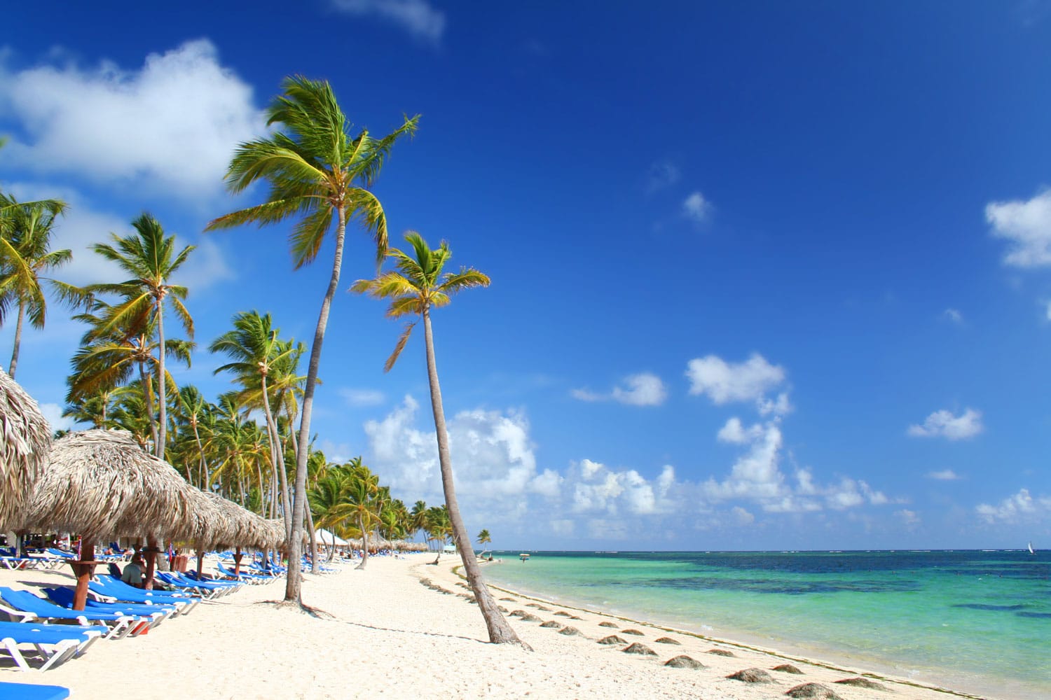 Enjoy A Luxurious Vacation With Travel Concierge Services