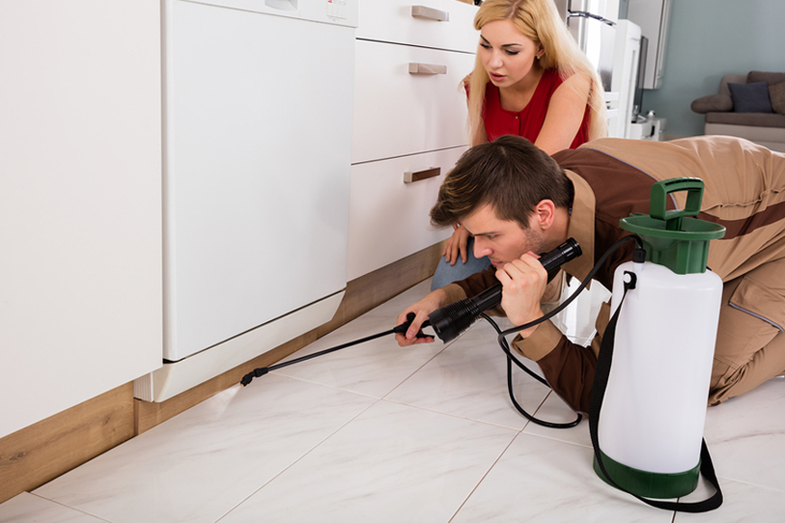 GET YOUR PROPERTY READY FOR SPECIALIZED PEST CONTROL SERVICES