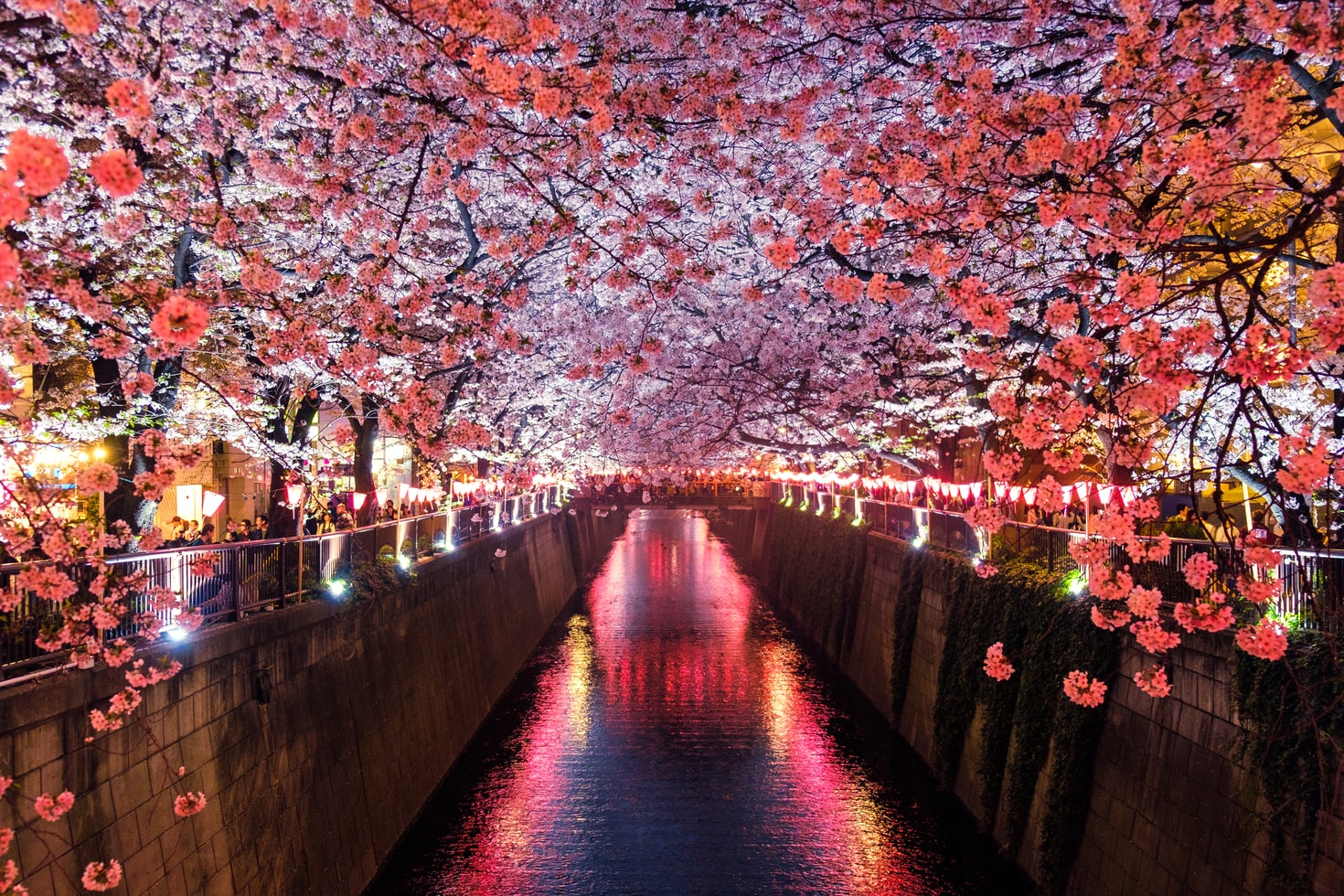Japan today