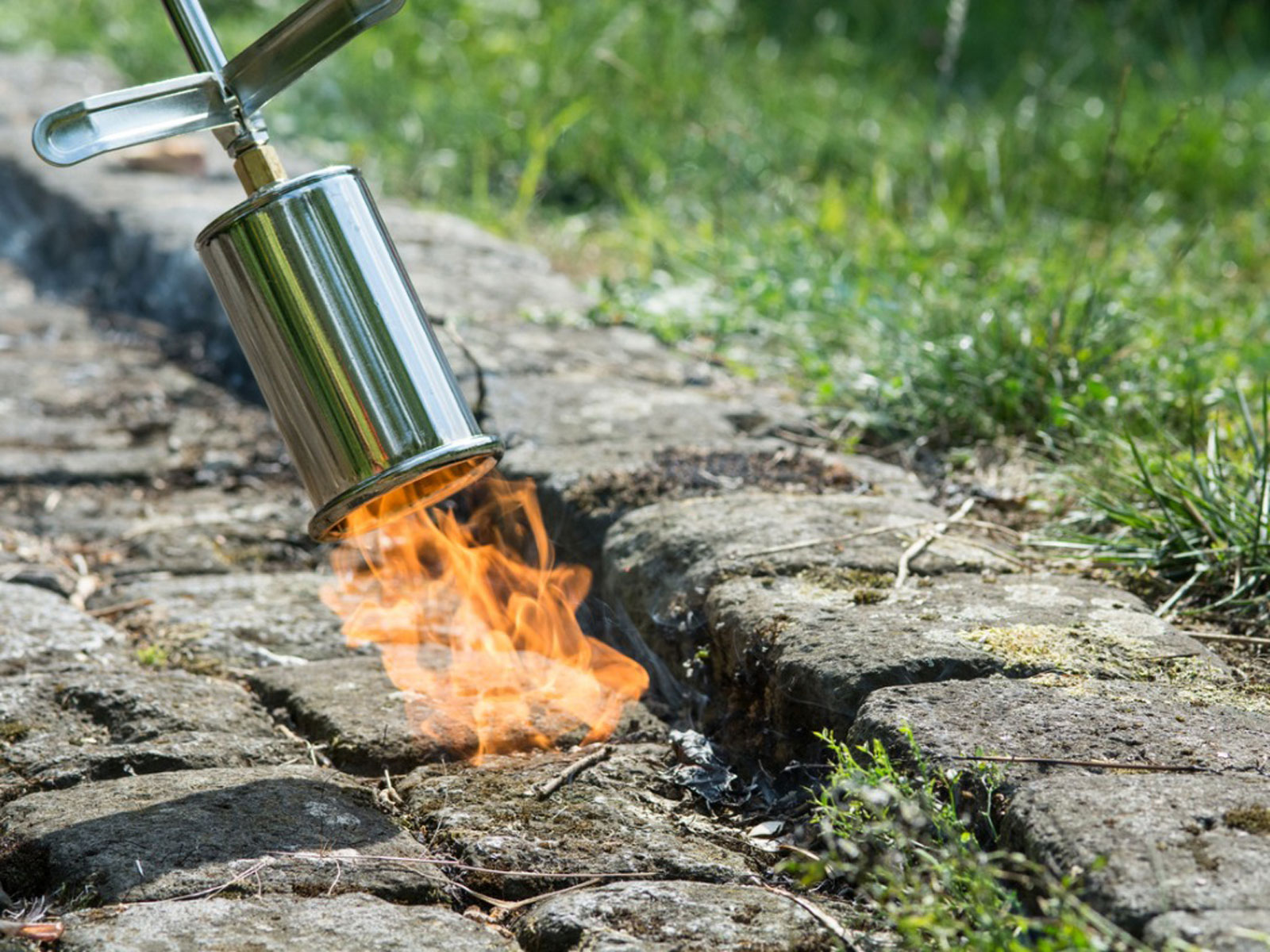 Weed Torches Market 2022 Size, Growth Factors & Forecast Report to 2028