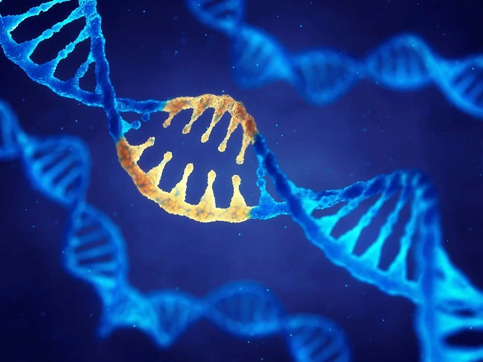 Report on Nano Biotechnology Market Research 2028 - Value Market Research