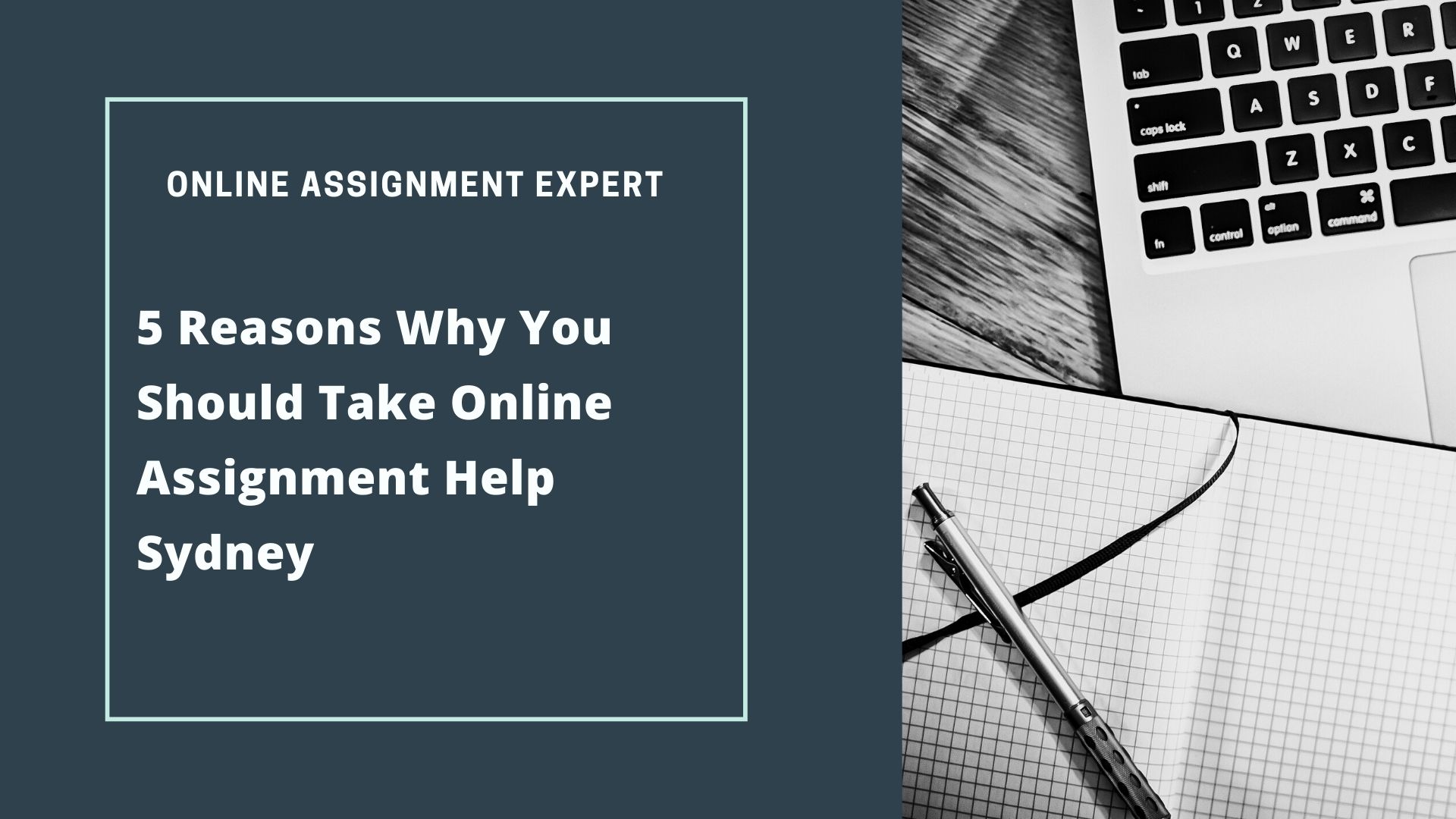 5 Reasons Why You Should Take Online Assignment Help Sydney