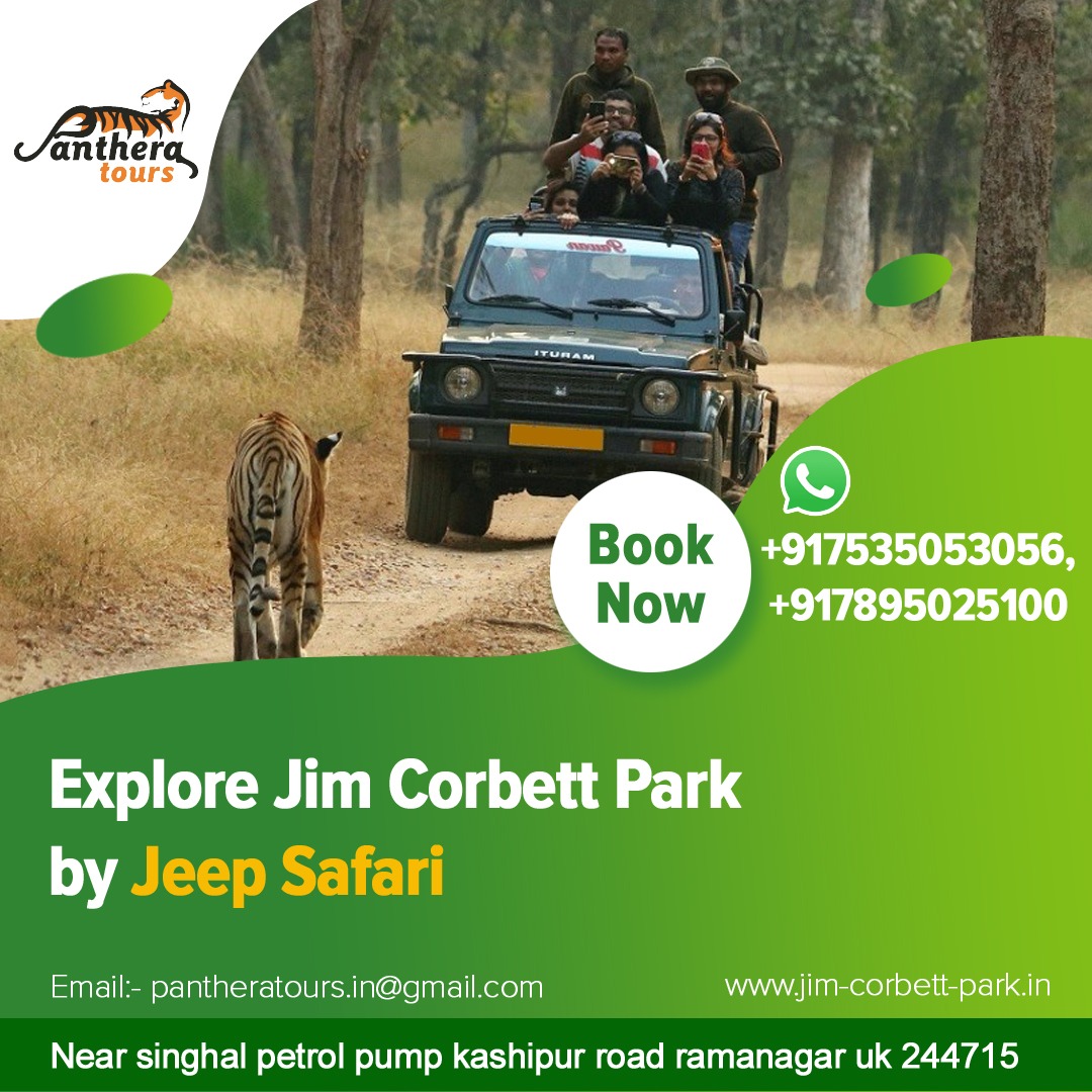   jim corbett national park  jim corbett  park all corbett safari.