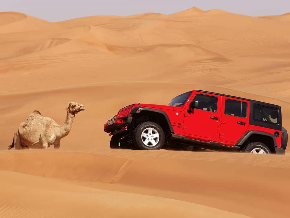 Hummer Desert Safari Tour Dubai