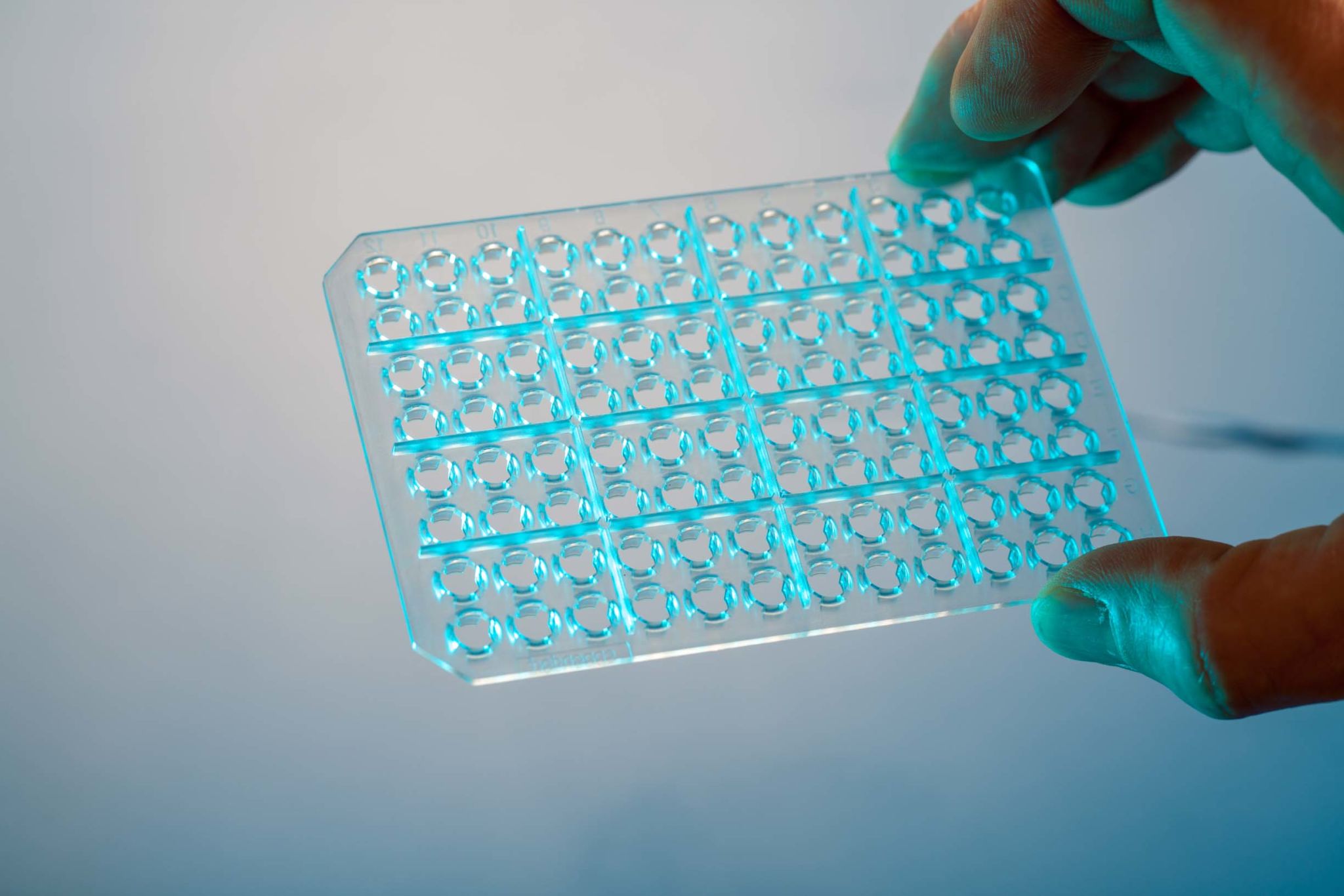 All You Need To Know About Erlenmeyer Flasks!