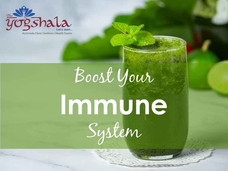 HOW CAN I BOOST MY IMMUNE SYSTEM FAST