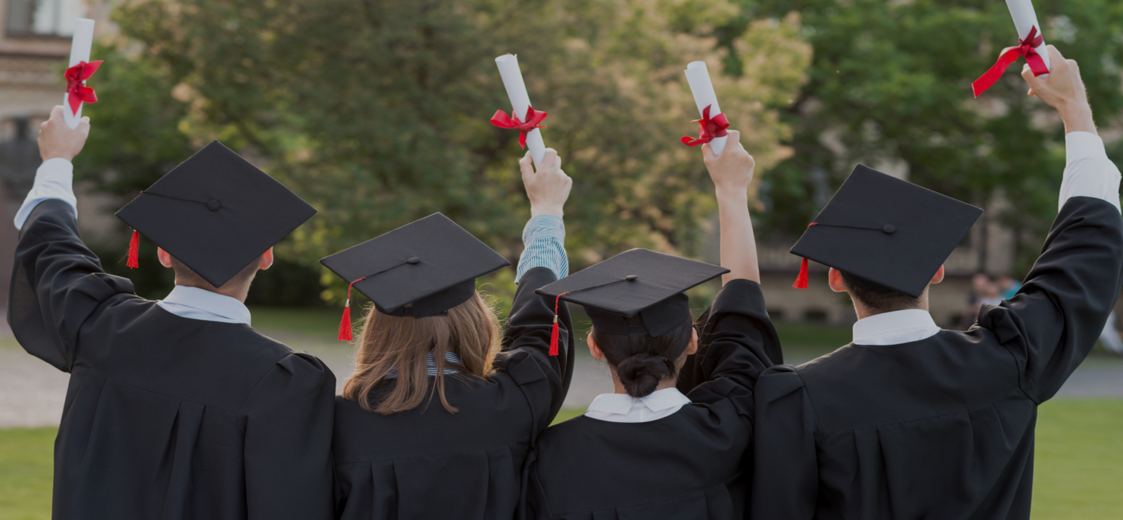 Visa Consultants in jalandhar