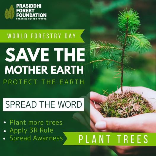 Fruit Tree Plantation NGO India | Prasiddhi Forest Foundation