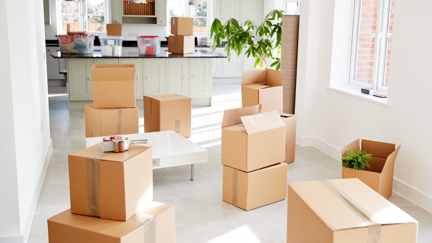 Local and Long Distance Movers in Baton Rouge | David Moving