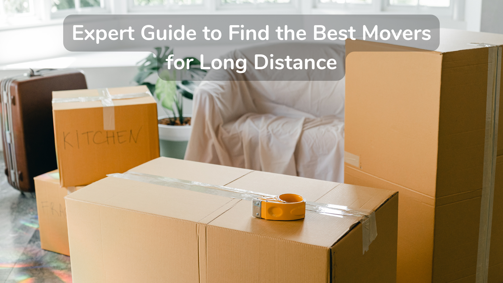 Expert Guide to Find the Best Movers for Long Distance | David Moving