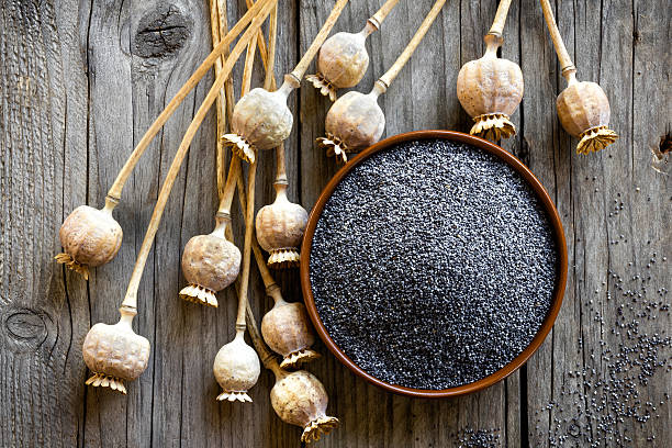 Global Poppy Seeds Market 2022: COVID-19 Impact Analysis and Industry Forecast Report, 2028