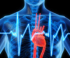 Cardiac Biomarkers Market 2022 | Industry Demand, Fastest Growth, Opportunities Analysis and Forecast To 2028