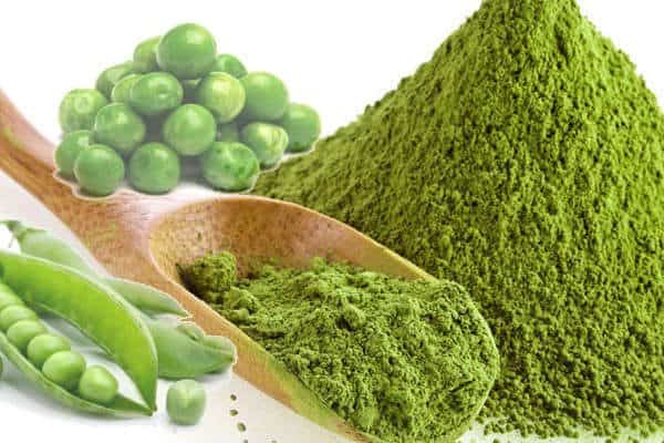 Global Organic Pea Protein Market Report, Latest Trends, Industry Opportunity & Forecast to 2028