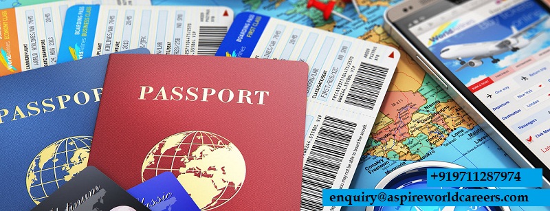Do you know about the visa process? | Best Immigration Visa consultant