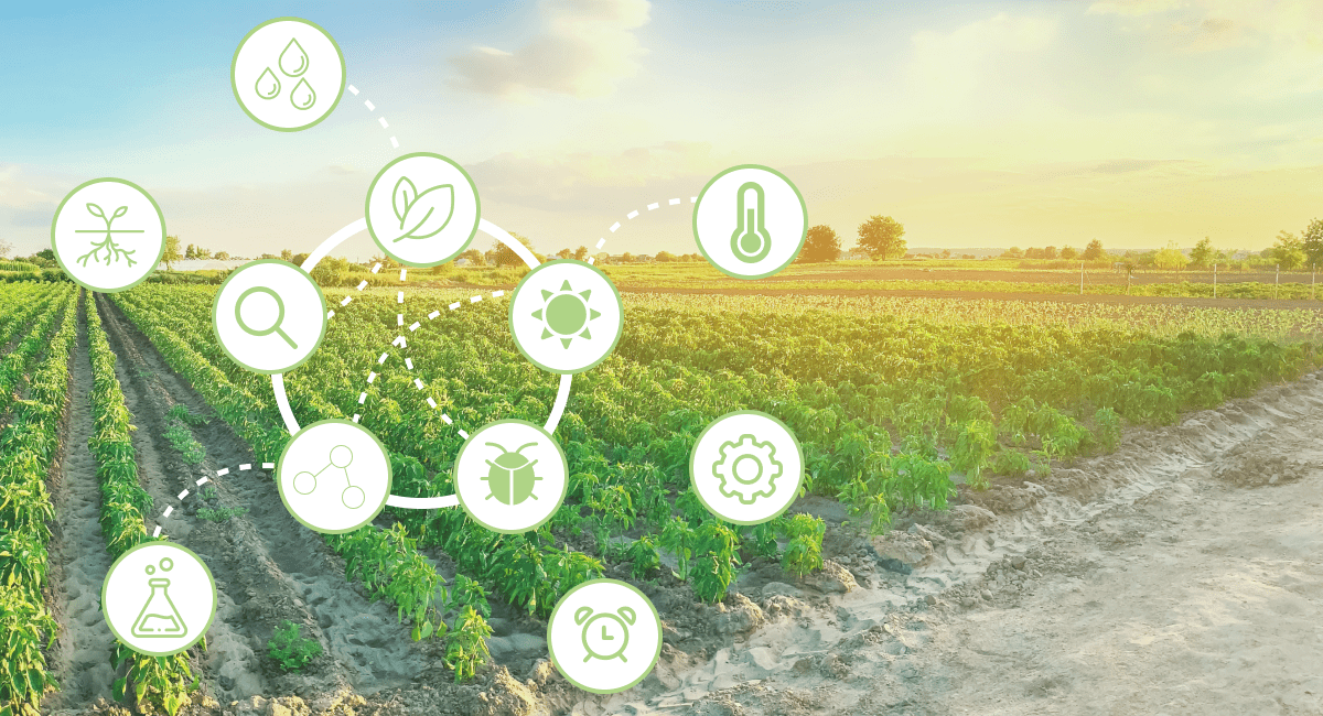 Shrewd cultivating for working on rural administration