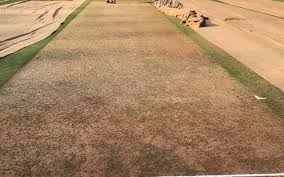 Pitch Market Growth Opportunities By Regions, Types, Applications And Forecast To, 2028