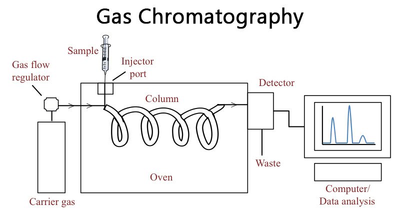 Gas Chromatography Market Based on Comprehensive Future Insights and Technological Advancement