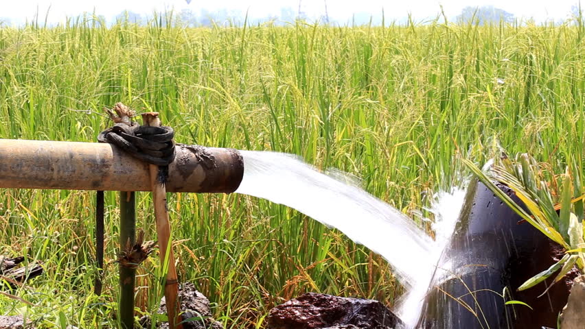 Thailand Water Pump Market is Estimated to Witness High Growth Owing to Urbanization