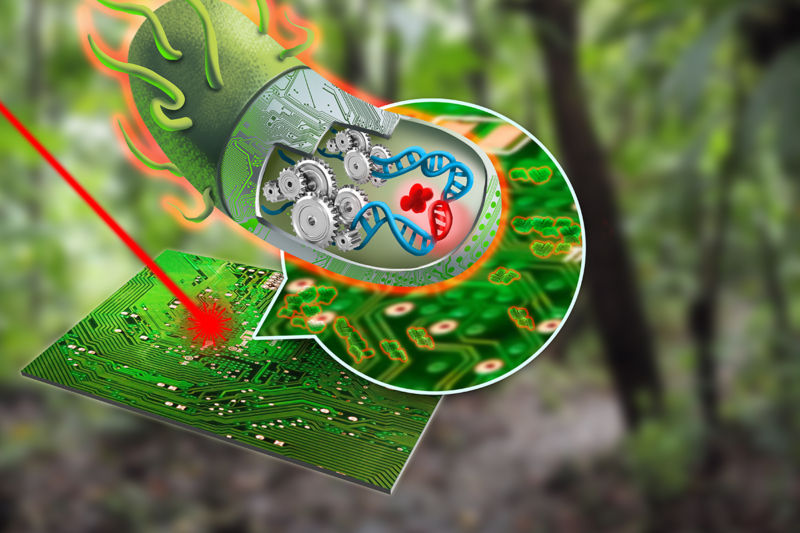 The Synthetic Biology Field Is Mature, Able To Manufacture Almost Anything Sustainably And Competitively