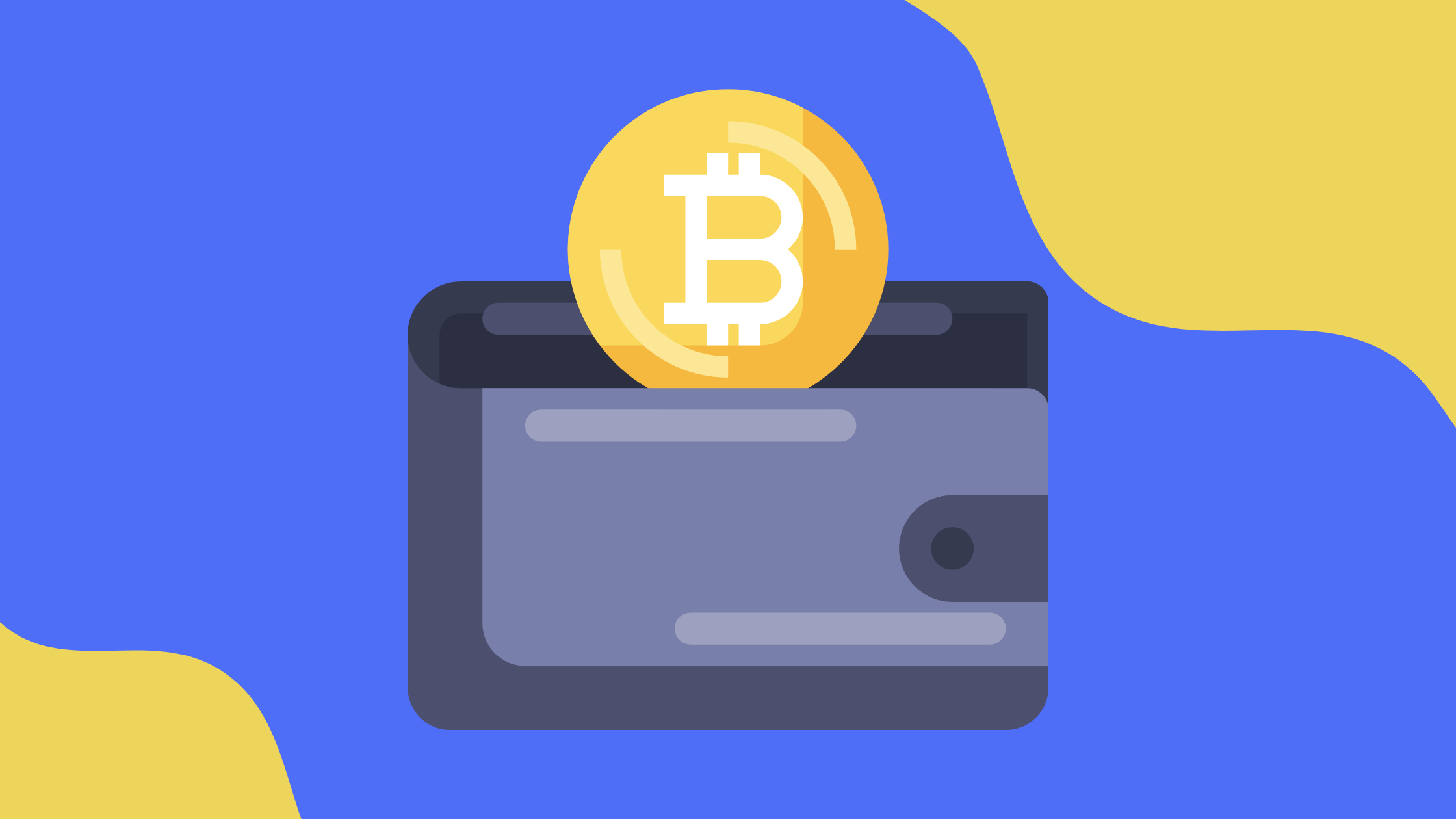 Market Dynamics and Competitive Strategies in the Hardware Wallet Market
