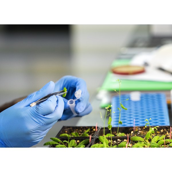 Plant-Based Biologics Market Set to Witness Rising Demand Due to Growing Environmental Concerns