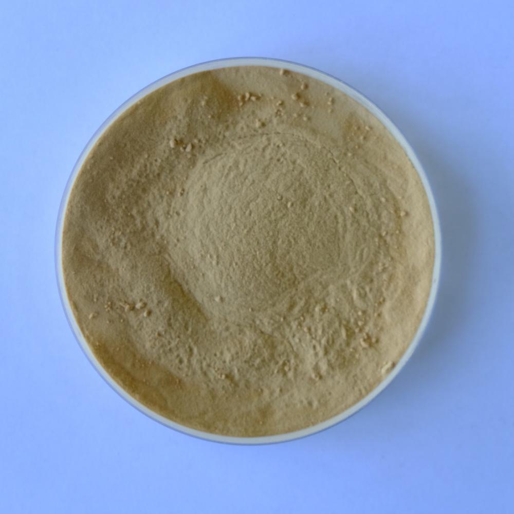 Alkaline Proteases: The South African Flower with Unique Properties