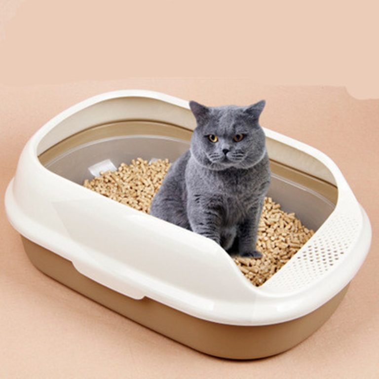 The Challenges and Opportunities for Cat Litter Market in Developing Countries during the Forecast Period 2022-2030