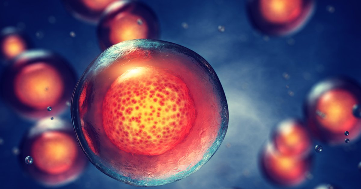 Autologous Stem Cell And Non-Stem Cell Based Therapies Transplantation: Understanding the Differences