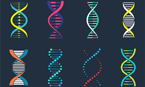 The Human Genome Project: A Landmark in DNA Sequencing