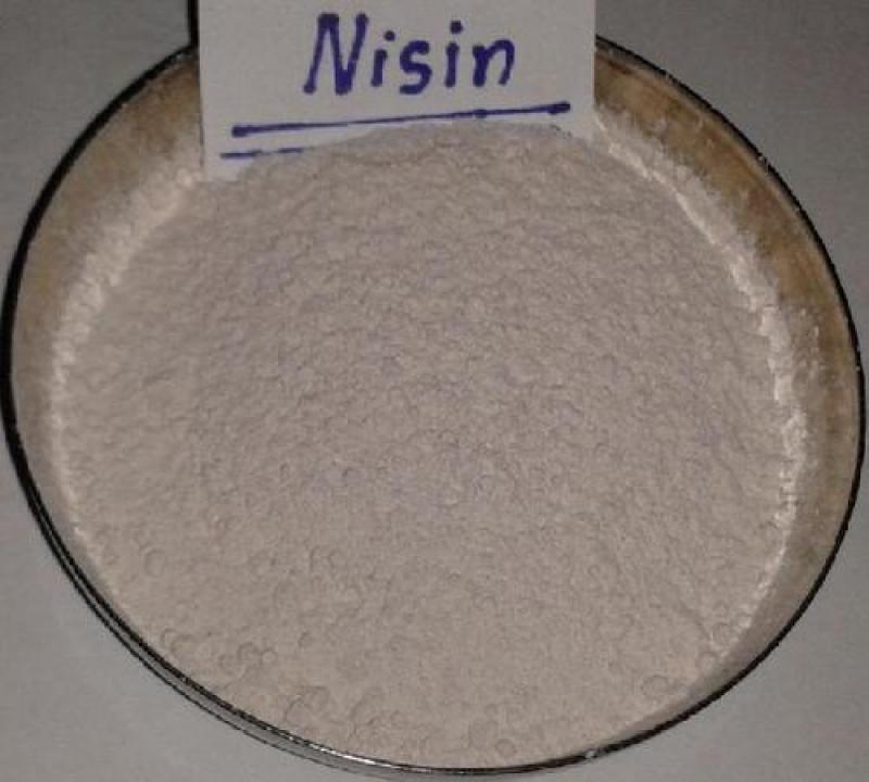 Nisin: A Promising Weapon Against Biofilms
