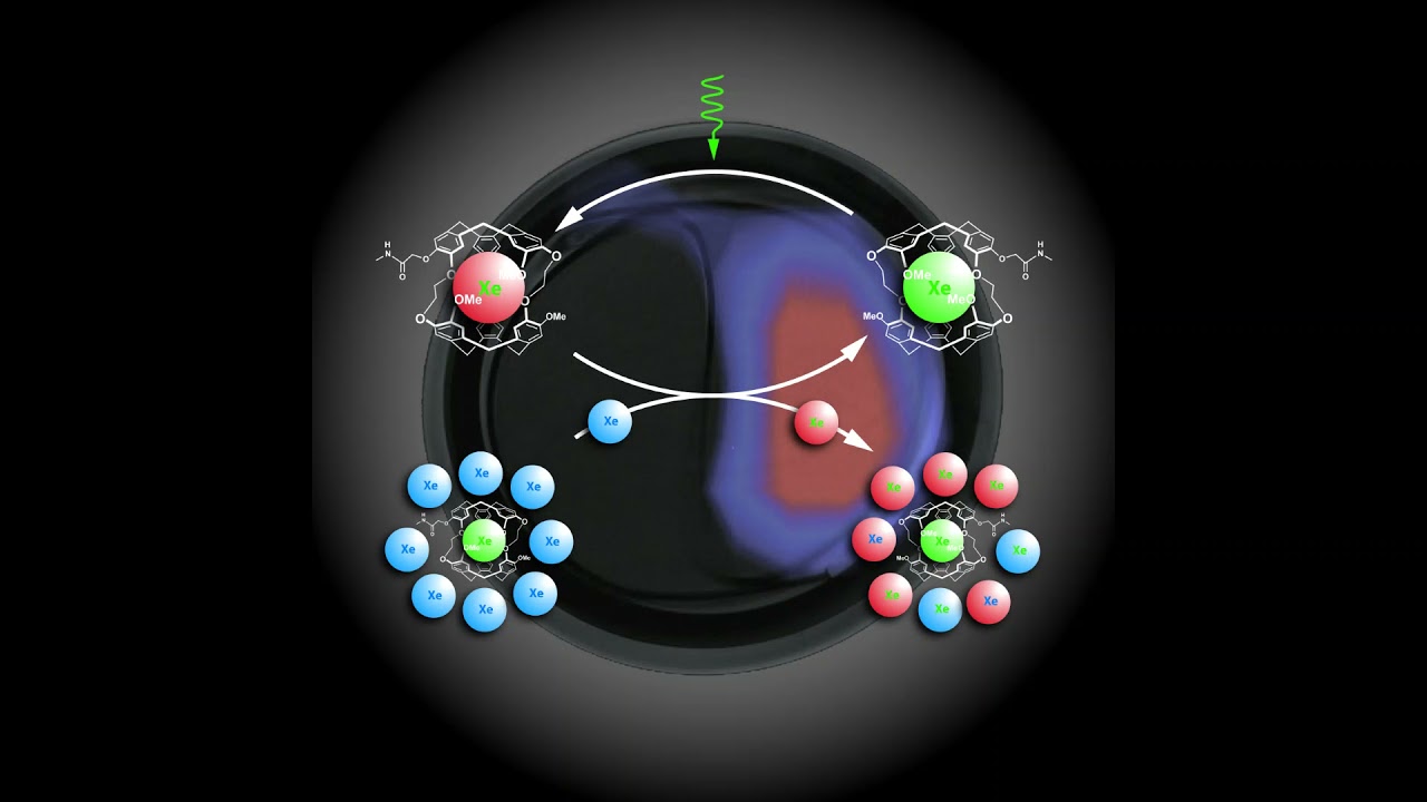 Global Molecular Imaging Market Is Estimated To Witness High Growth Owing To Technological Advancements and Increasing Prevalence of Cancer