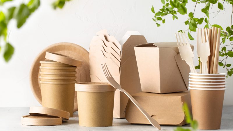 Harnessing Eco-Friendly Materials in the Sustainable Packaging Market during the Forecast Period 2022-2030