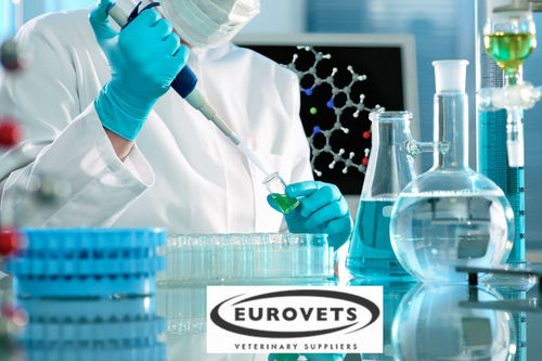 Shampoo for Dog in Dubai