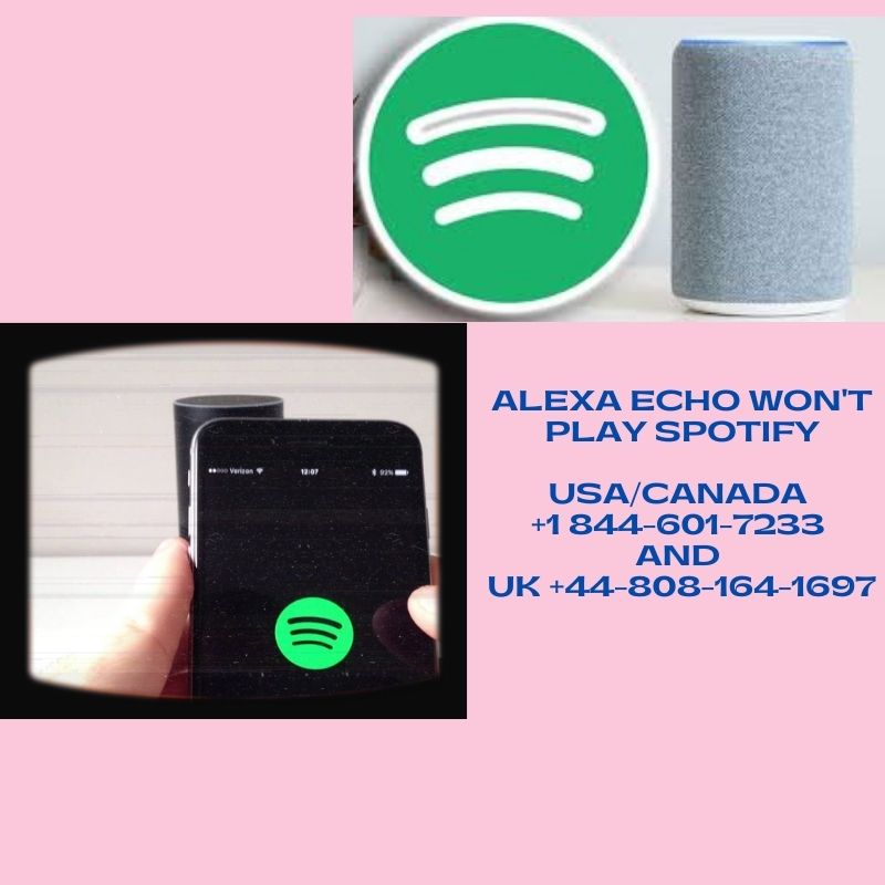Solved: Alexa Echo Won't Play Spotify Problem