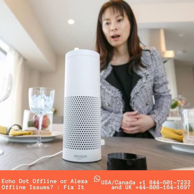 Echo Dot Offline and Alexa Offline Problem? Solved It Now Here