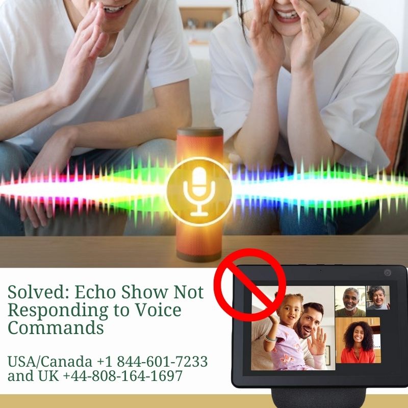Solve the Echo Show Not Responding to Voice Commands
