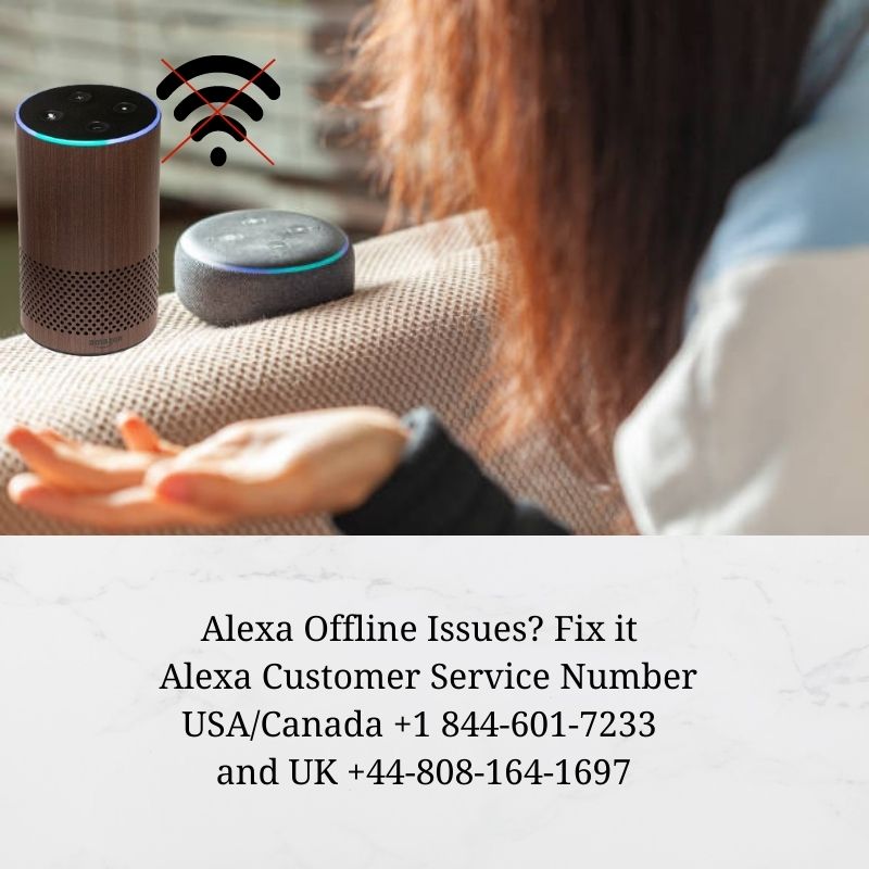 Alexa Offline Issues? Complete Solution 