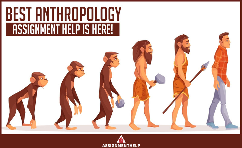 Write an Interesting Book For Online Assignment Help in USA