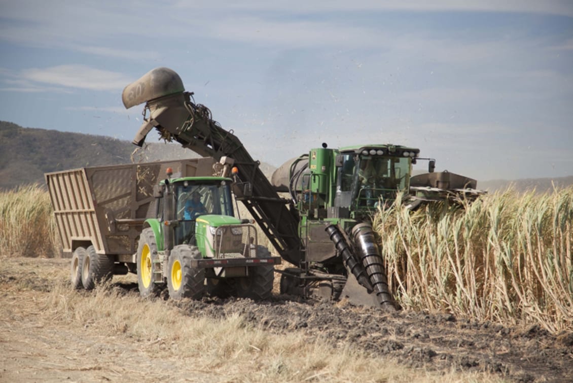 Producción de Azúcar - Agroindustria