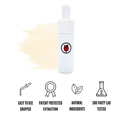 Top 5 Ways to Take CBD Tinctures