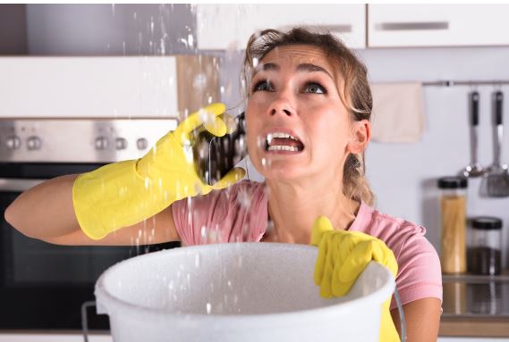 Plumber Elanora Heights