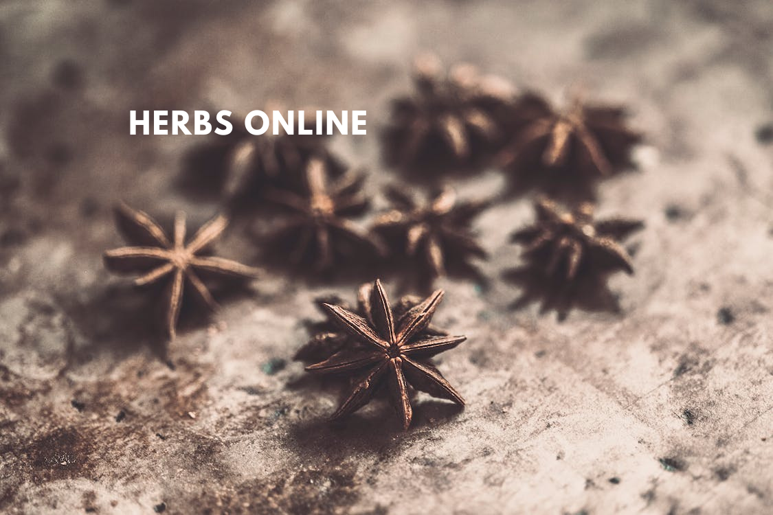 What is a plant-based diet, and why do need you to try one?