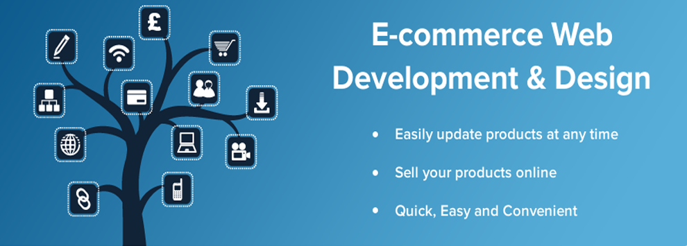 Best Software development and Website development Company