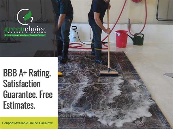 Professional Carpet Cleaning Brooklyn 