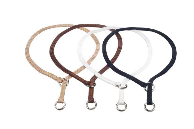 Style Your Dog with High-Quality Leashes and Collars