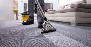 Why is it Important to clean your Area Rugs regularly